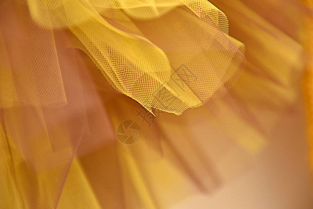 全框金黄色和棕色薄纱裙图片