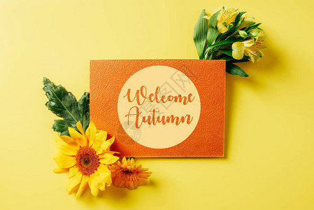 橙色卡片上方有欢迎秋季字母向日葵Gerbera和黄图片