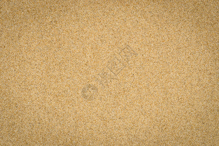 夏季海滩沙纹的特写自然背景图片