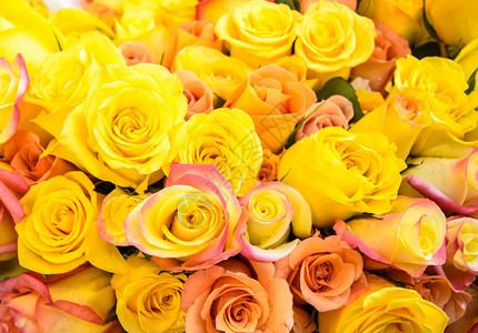 把许多花放在一起的黄玫瑰图片
