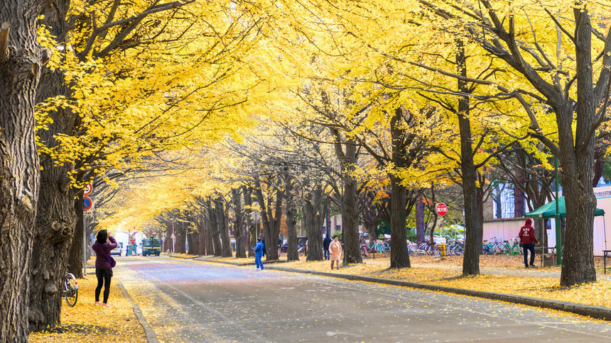 日本北海道图片