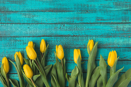 绿松石木表面上美丽的黄色郁金香花的顶视图背景图片