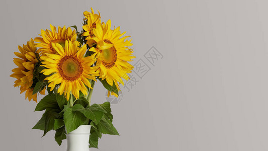 花瓶中美丽的黄向日葵花束背景图片