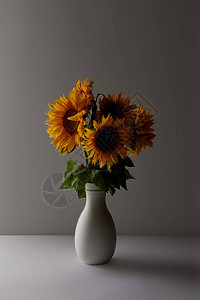 灰色花瓶中黄色向日背景图片