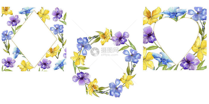 水彩五颜六色的亚麻花卉植物花框架边框装饰广场背景纹理包装图案框架或边框图片