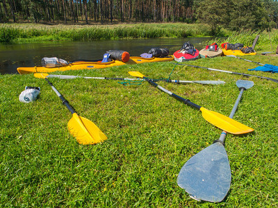 Wda河岸上的桨和皮划艇图片