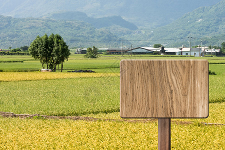 稻田地上的木头标志空白农村乡村部落图片
