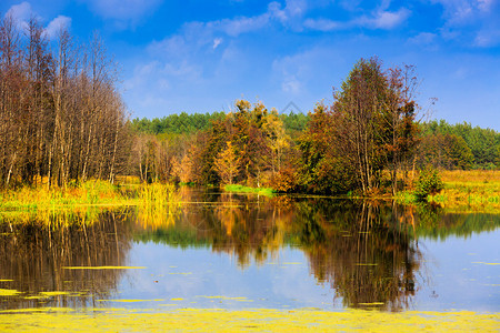 湖上美丽的秋景图片