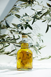 白桌上的一瓶芳香橄榄油和树枝图片