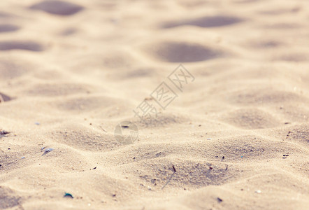 沙滩背景图片