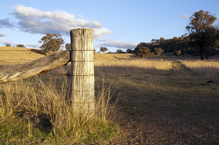 在澳大利亚农村大门开口后背有围图片