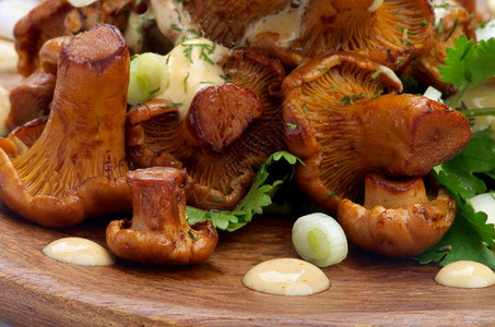 美味的烤肉可食香奈花蘑菇配有奶酪酱和绿图片