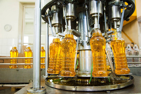 植物油生产厂植物油瓶装生产线背景图片