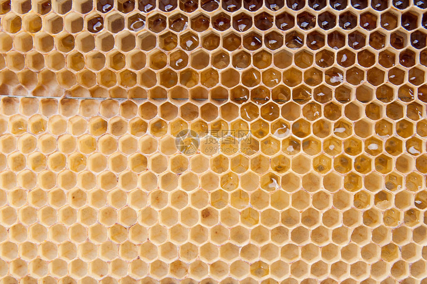 用甜蜂蜜近距离观察黄色蜂窝以甜蜂蜜为背景图片
