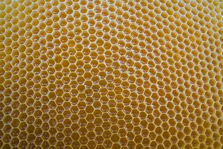 在蜂窝中关闭新鲜蜂蜜图片