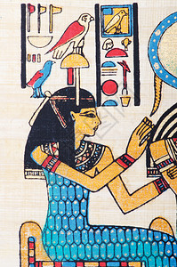 埃及papyru图片