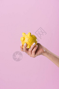 女手持黄色存钱罐与粉色隔离的短片图片