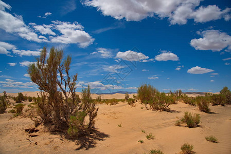 蒙古著名的HongorynEls沙丘位于戈壁沙漠东北图片