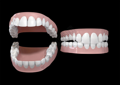 两套不同的人类牙齿放在暗底的口香糖里一个打图片