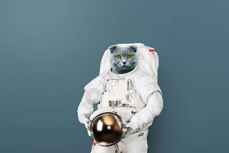 穿着太空服的猫咪宇航员图片