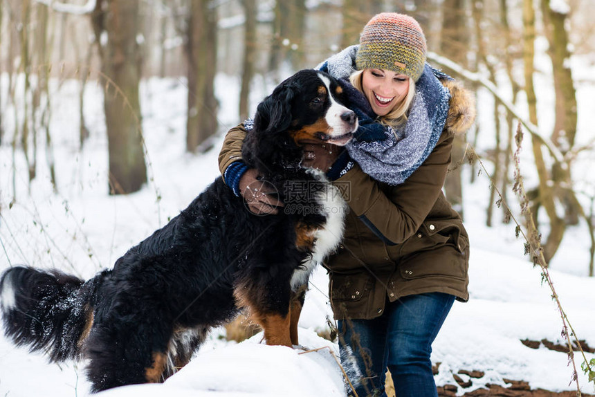 冬天遛狗的女人，两人一起探索雪地图片