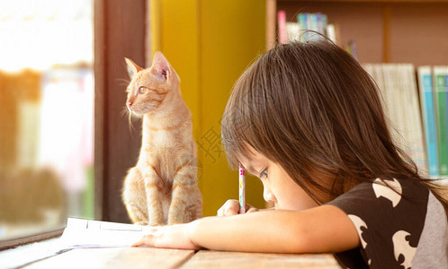 猫咪蹲在正在做作业的女孩旁边图片