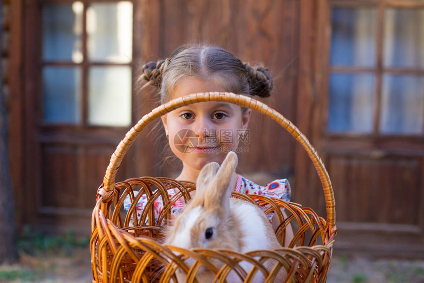 六岁女孩抱着一只兔子图片