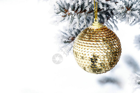 圣诞球在松树枝上面有冰冻的圣诞卡图片