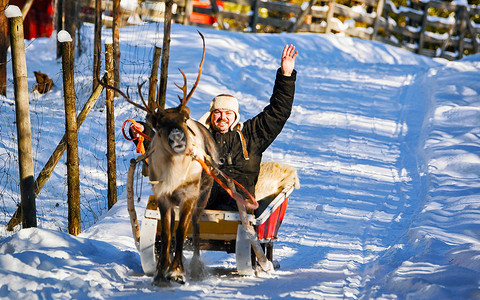 萨默涅米芬兰罗瓦涅米拉普兰农场驯鹿雪橇上的男子圣诞雪橇上的人在冬季雪橇骑safari与雪芬兰北极挪威萨背景