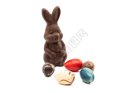 带有巧克力鸡蛋的巧克力兔子在白色图片