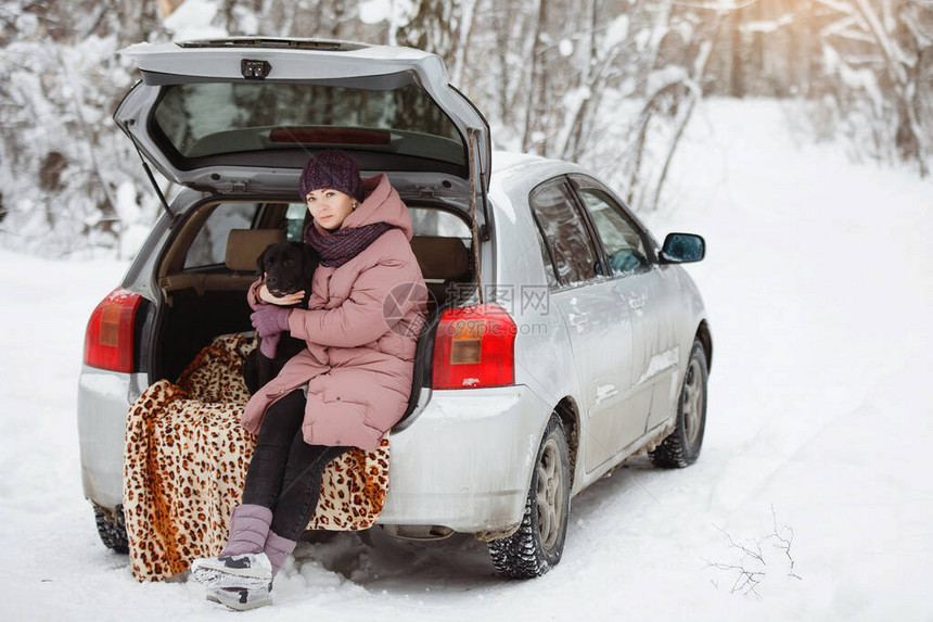 穿着温暖夹克和帽子的漂亮女人和一只有趣的黑色拉布多猎犬正坐在冬季森林里一辆汽车的后备箱里图片