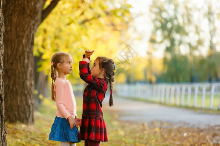 小女孩在秋天公园内图片