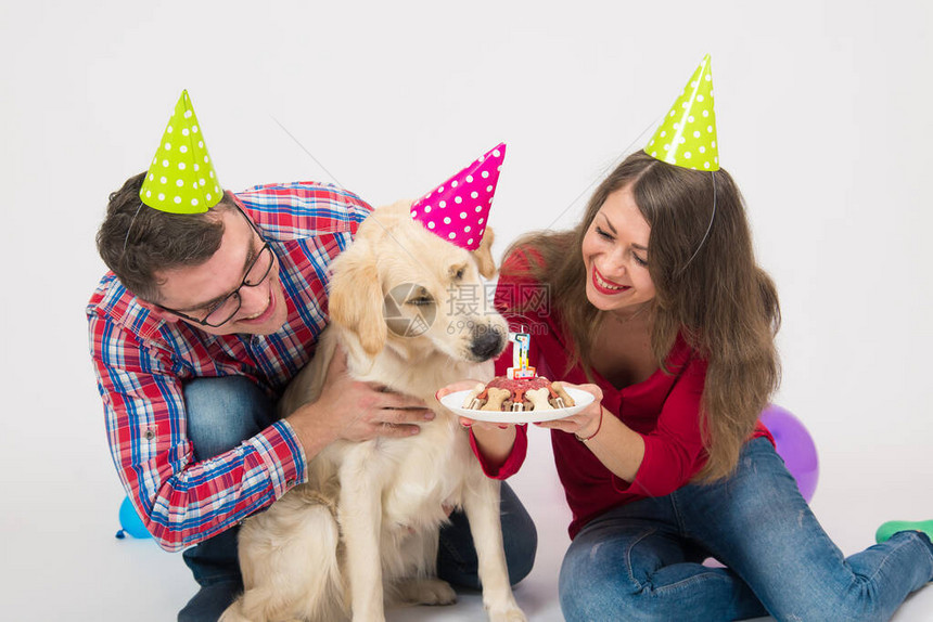 年轻的家庭带着他们的狗金毛猎犬庆祝一周岁生日友谊爱家庭在白色背景图片