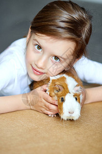 拥抱红色豚鼠的快乐微笑的小女孩的画像图片