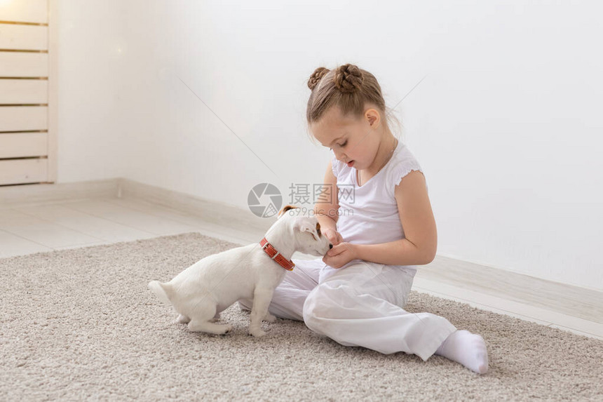 儿童与动物概念狗他的主图片