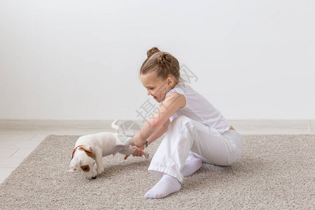宠物儿童和动物概念由爪子图片