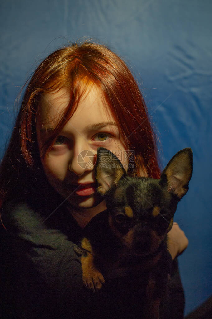 可爱的小女孩抱着吉娃小狗站着抬头看女孩在她的怀里抱着吉娃狗9岁的女孩图片