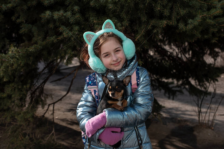 一只小吉娃躺在主人的怀里街上穿着冬装的学童女孩9岁吉娃狗吉娃黑色棕白背着包的女学生图片