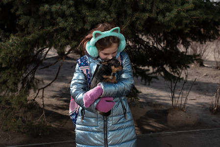 一只小吉娃躺在主人的怀里街上穿着冬装的学童女孩9岁吉娃狗吉娃黑色棕白背着包的女学生背景图片