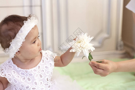 采取一朵美丽的唯一白花的白色礼服的女婴小公主在一岁生日图片