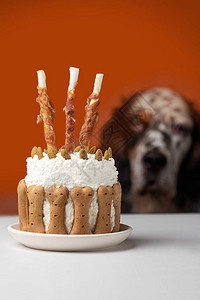 豆骨头蛋糕和狗零食图片