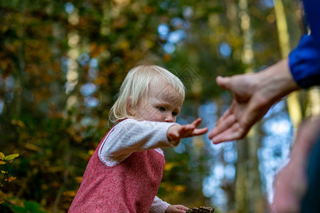 母亲伸出她两岁女儿的手在秋林散步图片