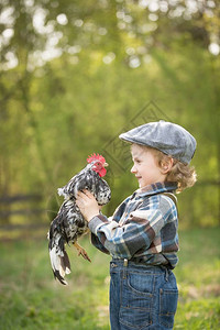 小男孩的鸡肖像白种卷发男戴帽子在图片