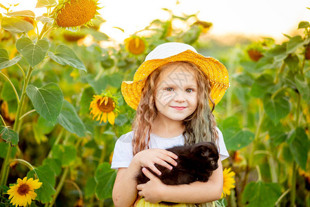 美丽的小女孩在夏日带向日葵的田地里抱着图片