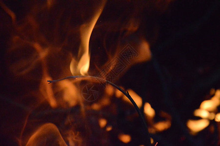 放大夜间的小木火背景图片