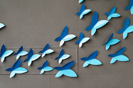 在水泥墙上弹出装饰外面建筑时的青蝴蝶图片