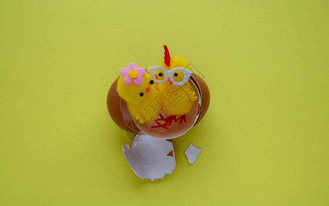 黄蛋孵化的黄玩具鸡图片