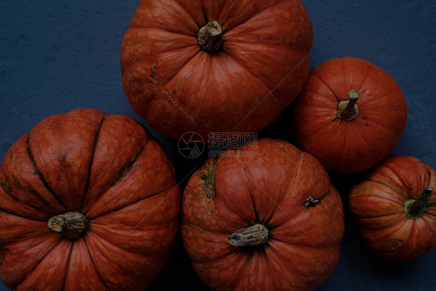 深蓝色背景上的橙色南瓜模板秋季收获感恩节万圣节周年纪念邀请卡复制空间图片