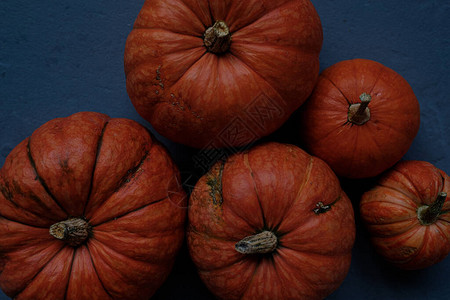 深蓝色背景上的橙色南瓜模板秋季收获感恩节万圣节周年纪念邀请卡复制空间图片