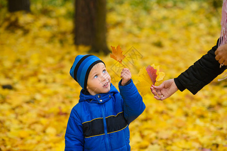 小男孩妈抱起木叶在秋天公园散步落图片